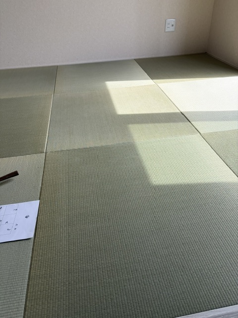 熊本県産藺草畳表付坊主畳さら